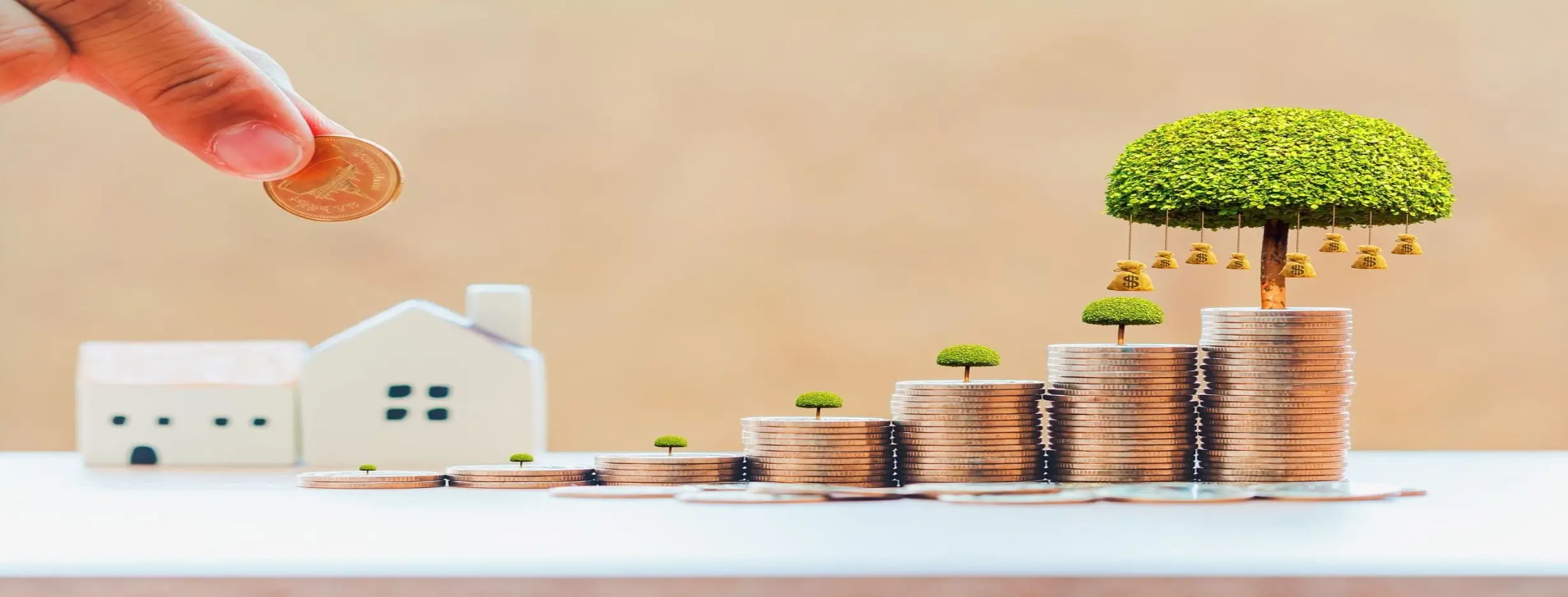 Image for Strategic Investment